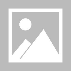 开云下载-中国速度滑冰运动员宁忠岩载誉返回家乡黑龙江|宇航|蒂纳|太平|夺冠|米兰